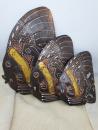 Wooden Fish Decoration